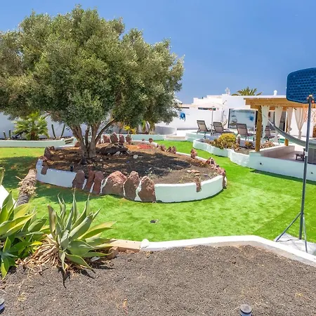 Olive Tree פלאיה בלנקה