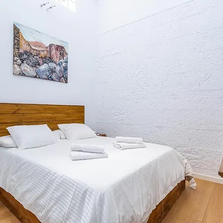 Olive Tree 别墅 普拉亚布兰卡