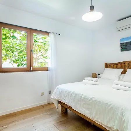 Olive Tree 普拉亚布兰卡