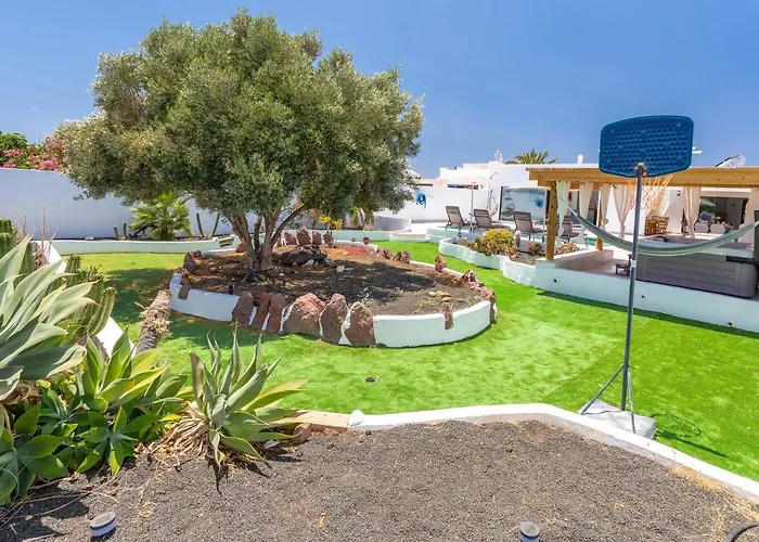 Olive Tree بلايا بلانكا