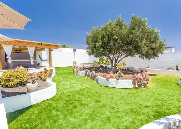 Olive Tree